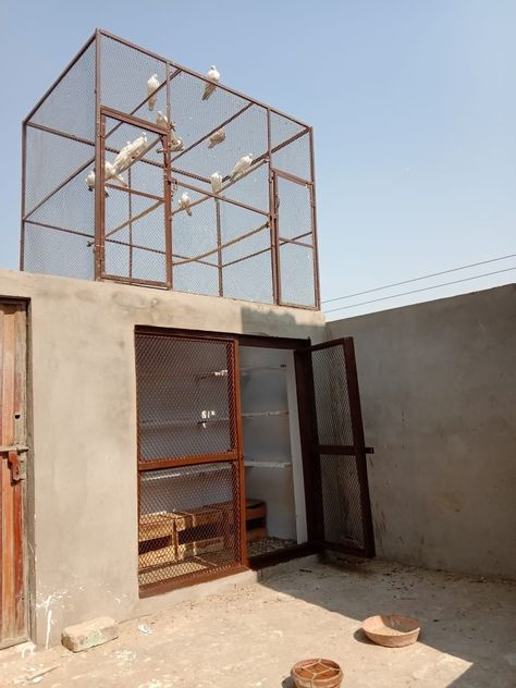 Pigeon House Ideas, Pigeon Cage, Pigeon House, Pigeon Loft, Large Bird Cages, Chicken Farming, Ideal House, Loft Ideas, Bird Aviary