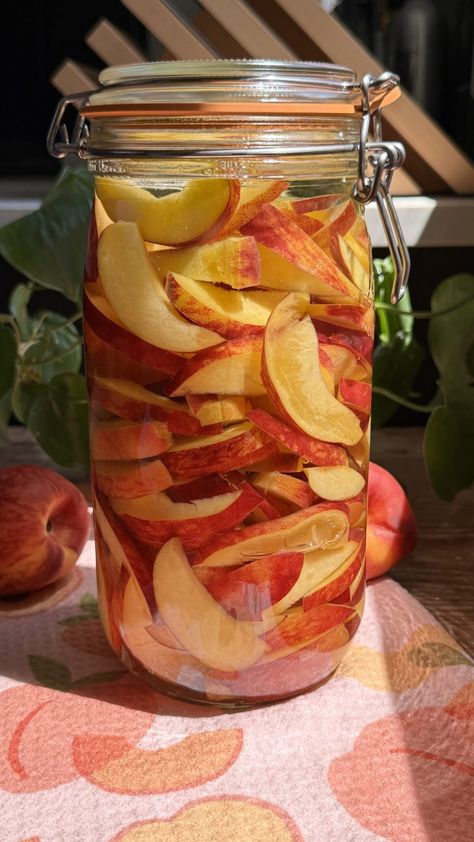 This Peach Infused Vodka is a delicious, summery spirit that couldn't be easier to make! It elevates any summer cocktail, but we especially love adding it to simple, 3-ingredient peach ginger fizz. Infused Alcohol Recipes, Strawberry Peach Sangria, Infused Liquors, Simple Syrups, Crowded Kitchen, Ginger Fizz, Peach Vodka, Peach Sangria, Make Simple Syrup