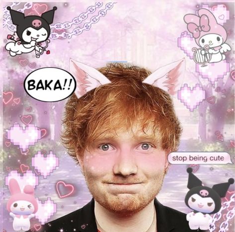 Ed Sheeran Matching Pfp, Scary Ed Sheeran, Ed Sheeran Funny Picture, Ed Sheeran Cute, Ed Sheraan Cursed, Ed Sheeran Funny, Ed Sherman, Ed Shareen Cursed, Ed Sheeran Cursed