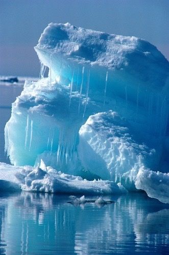 Melting Iceberg Ice Land, Arctic Landscape, Sea Ice, Winter Scenery, Landscape Pictures, Summer Blue, Winter Scenes, Amazing Nature, 그림 그리기