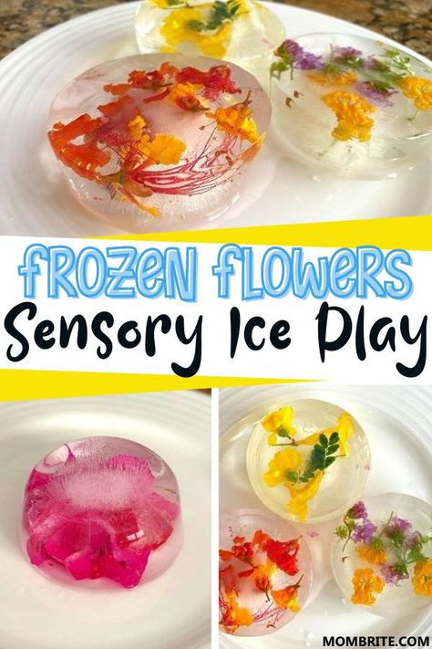 Flower Science, Toddler Stem, Preschool Homeschooling, Frozen Flowers, Flower Ice Cubes, Ice Play, Boredom Busters For Kids, Toddler Parenting, Frozen Rose