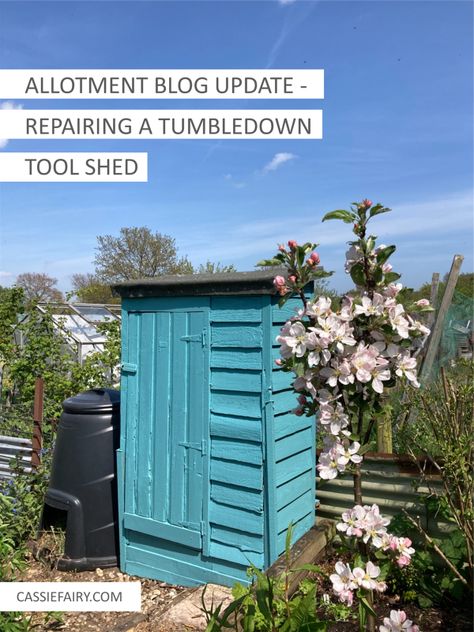 Allotment update - making the most of a tumbledown shed + planting potatoes Bright Blue Paint, Allotment Shed, Fruit Cage, Rhubarb Plants, Planting Potatoes, Life On A Budget, Veggie Patch, Planting Plan, Thrifty Living