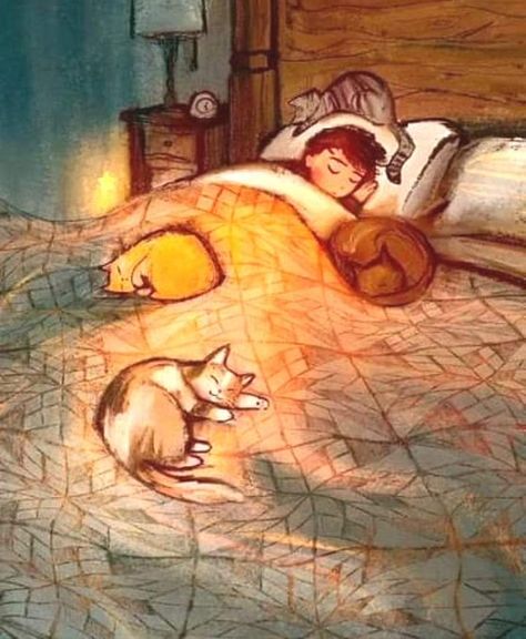 Slaap Lekker, Fairytale Art, Illustration Artists, Cat Painting, Whimsical Art, الرسومات اللطيفة, Cute Illustration, Crazy Cats, Insta Art