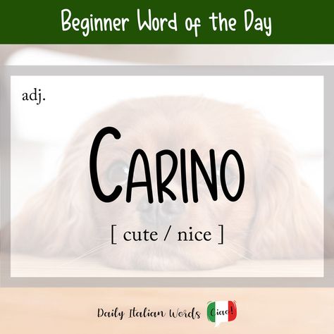 Meaningful Words In Italian, Adjectives In Italian, Pretty Italian Phrases, Useful Italian Phrases, Italian Common Phrases, Italian Word, Italian Lessons, Italian Language Learning, Learn Italian