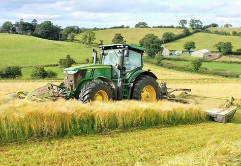 John Deere 7280r with Claas Disco triple mowers mowing barley for wholecrop silage John Deere Art, Farming Tractors, Tractor Machine, John Deere Tractors Farms, Tractor Art, Tractor Pictures, Tractor Accessories, Industrial District, John Deere Equipment