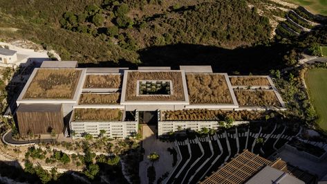 Retreat Architecture, Hospitality Architecture, Woods Bagot, Paphos Cyprus, Lap Pool, Paphos, Mountain Village, Wayfinding Signage, Wellness Spa