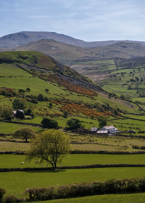 Welsh Countryside Aesthetic, Welsh Forest, Welsh Aesthetic, Welsh Mountains, Welsh Landscape, Irish Landscapes, Hillside Farms, Wales Holiday, Welsh Countryside