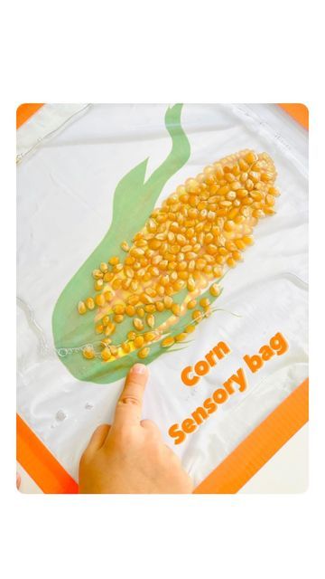 Corn Sensory Play, Fruit Sensory Play, Oil And Water Sensory Bag, Fall Sensory Bags, Food Sensory Activities, Fruit Sensory Bin, Sensory Bags For Toddlers, Toddler Activties, Koala Room