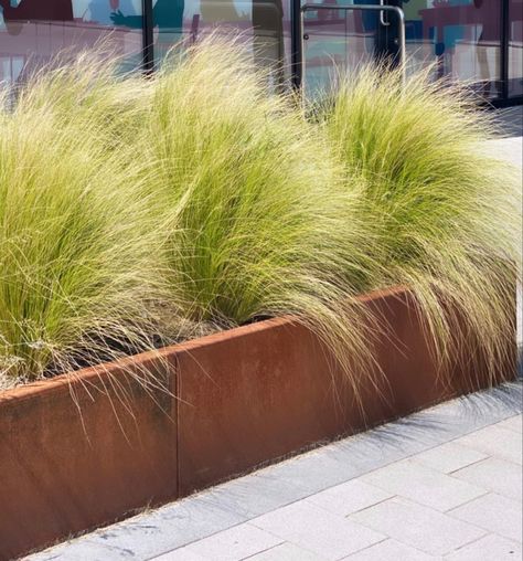 Garden Troughs, Rectangle Planters, Corten Steel Planters, Patio Privacy, Trough Planters, Weathering Steel, Steel Planters, Have Inspiration, Metal Planters