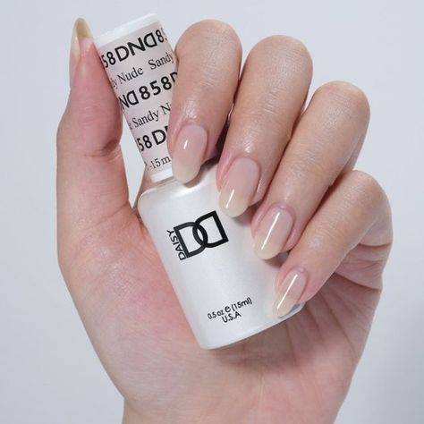 Daisy Nail Designs, INC. on Instagram: "💅🏽 Introducing DND Sheer Collection 2023 - 36 Brand New Essential Sheer Shades. Available in gel polish and lacquer." Elegant Nail Polish, Nude Gel Polish, Clean Girl Nails, Dnd Nail Polish, Nail Polish Gift Set, Nail Polish Gift, Luminous Nails, Dnd Gel Polish, Girl Nails