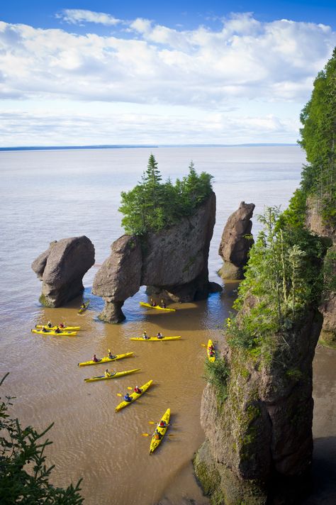 Explore New Brunswick, Canada Hopewell Rocks, Fundy National Park, Bay Of Fundy, Single Travel, East Coast Travel, New Brunswick Canada, Kayak Adventures, Travel Canada, Atlantic Canada