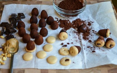 How to Make Peanut Butter & Chocolate Acorn Truffles Acorn Truffles, Acorn Chocolate Covered Strawberries, Acorn Treats Nutter Butter, Are Acorns Edible, Choc Truffles, Chocolate Acorns, Acorn Treats, Fall Leaf Cake, Sweet Truffles