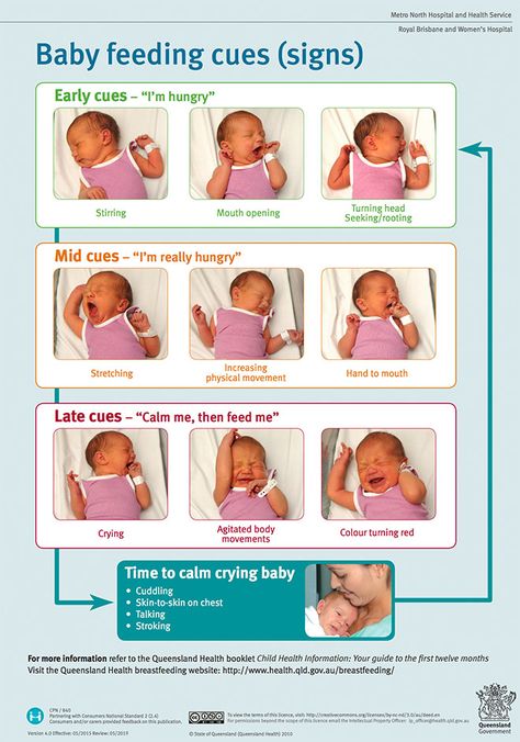 A visual guide to understanding a baby's hunger signs Feeding Cues, Baby Routine, Baby Information, Newborn Mom, Newborn Baby Tips, Baby Life Hacks, Sleep Training Baby, Baby Facts, Baby Planning