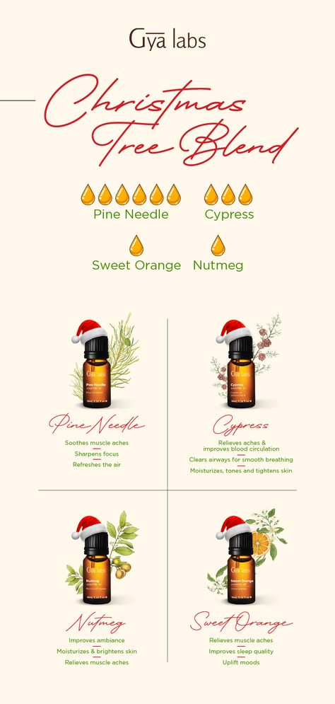 Pine Essential Oil Blends, Peppermint Essential Oil Blends, Christmas Tree Essential Oil Blend, Christmas Essential Oil Blends, Christmas Essential Oils, Essential Oil Christmas, Christmas Tree Essential Oil, Christmas Aromatherapy, Christmas Diffuser Blends