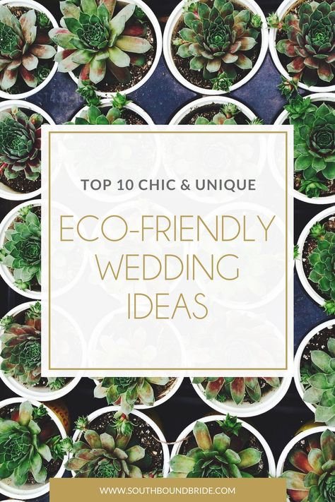 Top 10 Chic Eco-Friendly Wedding Ideas | SouthBound Bride Sustainable Wedding Ideas, Eco Friendly Wedding Decor, Eco Friendly Wedding Favors, Zelda Wedding, Vail Wedding, Green Weddings, Ethical Wedding, Wedding Advice Cards, Versatile Clothing