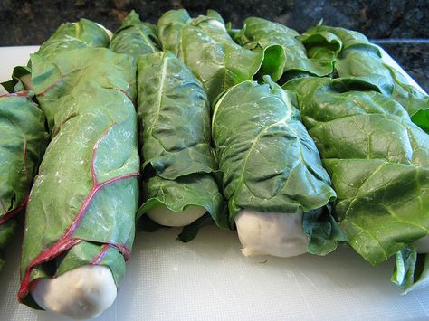 Beatniks with Swiss chard Beatnik Recipe, Beet Leaves, European Dishes, Ukrainian Recipes, Cabbage Rolls, Garden Recipes, Swiss Chard, Equal Opportunity, Chard