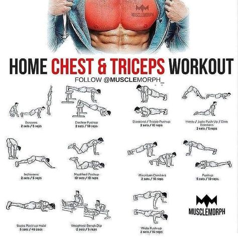 Tricep And Shoulder Workout, Tricep Workout Routine, Ab And Arm Workout, Toned Abs Workout, Arm Workout Videos, Workout Videos For Men, Shoulder Workout At Home, Chest And Tricep Workout, Chest Workout At Home