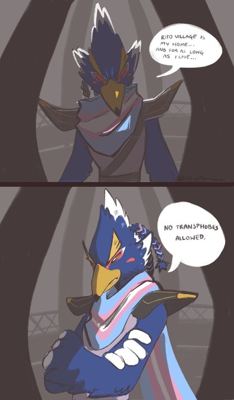 Ravali X Link, Link X Revali Fanart, Legend Of Zelda Rauru, Trans Link Loz, Link And Revali, Trans Link Botw, Revalink Fanart, Revali Botw Fanart, Link X Revali Botw