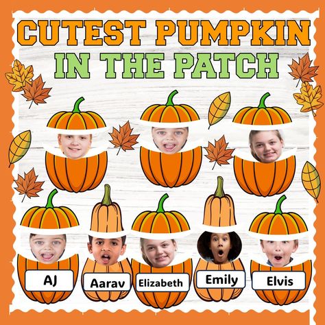 Are you looking for cute and interesting ideas for a fall Pumpkin bulletin board? For educators teaching kindergarten and pre-K, our "Cutest Pumpkin in the Patch" template is just perfect. Your students will love this festive fall vibe that includes pumpkins, leaves, and other fall-themed templates. It's simple to alter the design to match the theme of your classroom and incorporate your unique style. Get it today to make a lovely and instructive display for your classroom this autumn. Use this Cutest Pumpkins In The Patch Bulletin, Pumpkin Patch Bulletin Board, Pumpkin Bulletin Board, Pumpkins Preschool, October Bulletin Boards, November Bulletin Boards, Kindergarten Bulletin Boards, Thanksgiving Bulletin Boards, October Classroom