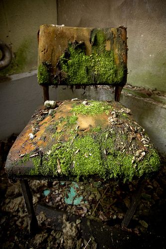 The Mossy Chair by joaobambu Urban Decay Photography, Decay Art, Growth And Decay, Gcse Art, Abandoned Buildings, Back To Nature, Abandoned Houses, Abandoned Places, Urban Decay