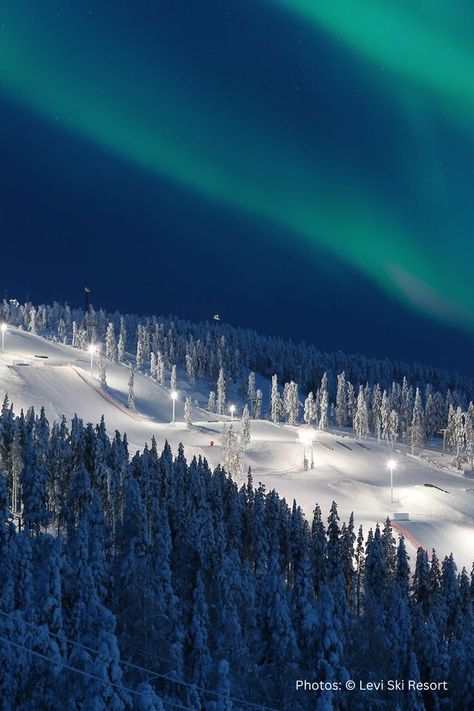 Best Ski Destinations in Europe : Ski With Northern Lights Lapland Skiing, Skiing Finland, Lapland Finland Aesthetic, Levi Lapland, Northern Lights Finland, Levi Finland, Finland Country, Finland Winter, Ski Destinations