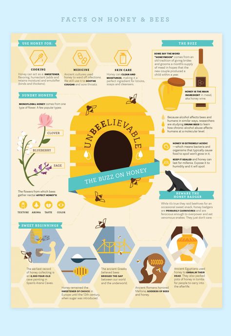 Honey Bee Infographic, Bee Infographic Design, Science Infographic Design, Bees Infographic, Honey Infographic, Creative Infographic Design Layout, Bee Infographic, Aesthetic Infographic Design, Simple Infographic Design