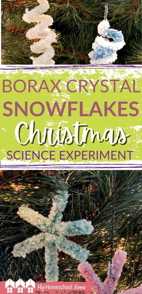 Crystal Ornaments Diy, Borax Crafts, Borax Crystal Ornaments, Borax Crystals Diy, Borax Snowflakes, Pipe Cleaner Ornaments, Snowflakes Science, Make Crystals, Christmas Science Experiments