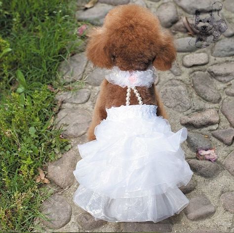 Outfit With Pearl Necklace, Dog Bridesmaid, Outfit With Pearls, Girl Dog Clothes, Dog Wedding Dress, Pearl Wedding Dress, Puppy Dress, Princess Dog, White Costumes