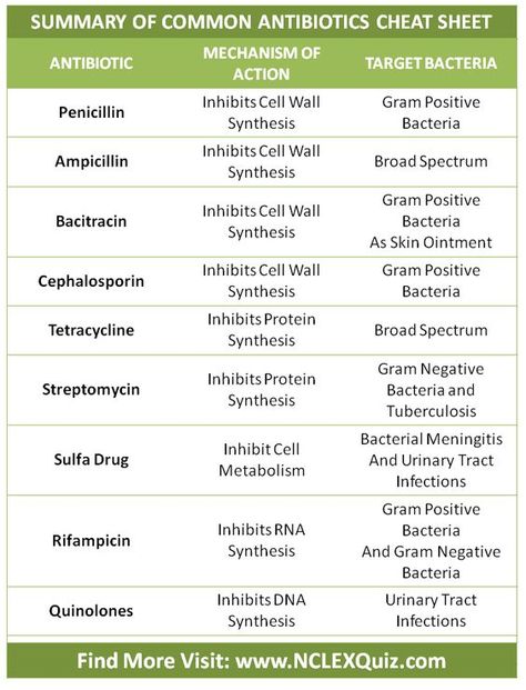 Antibiotics Cheat Sheet, Nursing Facts, Microbiology Study, Np School, Nursing Information, Nursing Cheat, Student Info, Vet Medicine, Nursing Mnemonics