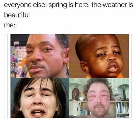 Stuffy nose and watery eyes right now...SUMMER WHERE ARE YOU?!?!? Allergy Memes, Allergies Funny, Erich Von Stroheim, Friend Memes, Fresh Memes, Spring Is Here, Satire, Popular Memes, Funny Texts