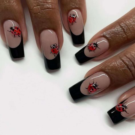 Ladybug Acrylic Nails, Nails Ladybug, Nails Red And Black, Bug Nails, Ladybug Nails, Acrylic Nail Art, Minimalist Nails, Heart Nails, Fire Nails