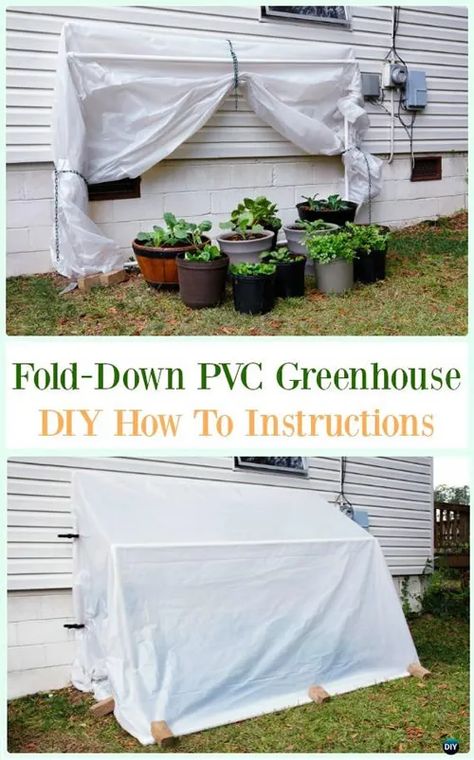 Greenhouse Room, Porch Greenhouse, House Greenhouse, Underground Greenhouse, Greenhouse Diy, Pvc Greenhouse, Cheap Greenhouse, Best Greenhouse, Lean To Greenhouse