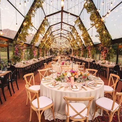 Boutique Bridal Concepts on Instagram: “Without a doubt, this is one of the winelands most stunning venues! Situated in @blaauwklippen vineyards, The Cathedral is absolutely…” Wedding South Africa, Luxury Wedding Venues, Amazing Spaces, The Cathedral, Best Wedding Venues, Vineyard Wedding, Cape Town, Celebrity Weddings, Luxury Wedding