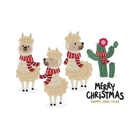 Christmas Lama, Llama Decorations, Horse Family, Merry Christmas Greeting Card, Cute Alpaca, Merry Christmas Card Greetings, Merry Happy, Red Scarf, Wear Red