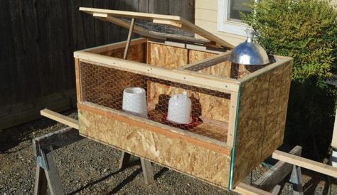 Easy Diy Chicken Brooder, Diy Chicken Brooder, Flour Soup, Chicken Brooders, Chicken Brooder Box, Chick Brooder, Brooder Box, Chicken Brooder, Chicken Care