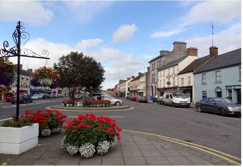 Monaghan Ireland, Ireland Trip, Northern Irish, Ireland Vacation, Rich Green, Ireland Travel, Just Love, Places To Travel, Street View