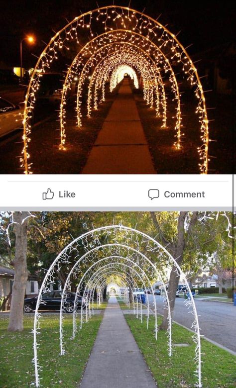 Christmas Lights Wedding Decor, Christmas Walk Through, Christmas In The Park Ideas, Christmas Venue Decorations, Christmas Tunnel Lights, Christmas Yard Theme Ideas, Christmas Lights Arch, Christmas Walkway Ideas, Christmas Light Tunnel