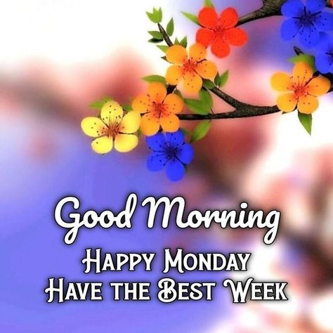 Monday Morning Quotes Positive Happy, Quotes For Monday, Good Morning Quotes Monday, Morning Quotes Monday, New Week Quotes, Water Gif, Best Self Quotes, Monday Greetings, Monday Morning Quotes