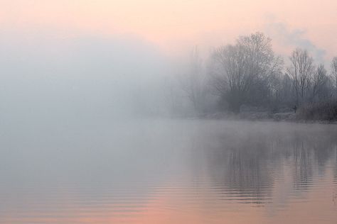 𝕴𝖈𝖊𝖑𝖆𝖓𝖉 𝕱𝖔𝖝 Misty Dawn, Misty Eyes, Pastel Landscape, Forest Photos, Night Sky Photos, Autumn Landscape, Abstract Photography, Landscape Photos, Watercolor Landscape