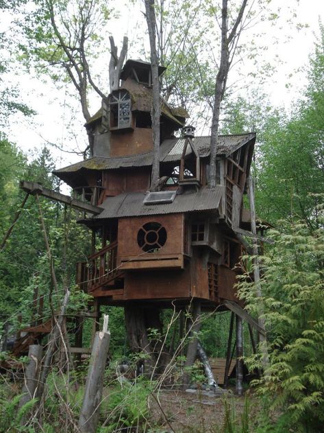 Forgotten Treehouse In Washington Beautiful Tree Houses, Cool Tree Houses, Tree House Designs, Unusual Homes, Play Houses, My Dream Home, Future House, A Tree, Tree House