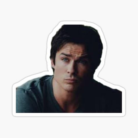 Damon Salvatore Stickers | Redbubble Damon Y Elena, Tvd Quotes, The Salvatore Brothers, Michael Malarkey, Kai Parker, Ian Somerhalder Vampire Diaries, Damon Salvatore Vampire Diaries, Vampire Diaries Wallpaper, Cute Laptop Stickers