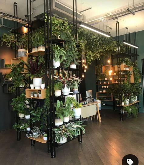 Plants Store Design, Boutique Plant Shop, Plant Shop Interior Design, Plant Boutique Ideas, Plant Store Design, Flower Shops Interior, Plant Shop Design, Flower Shop Design Interiors, Plant Store Display