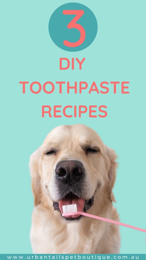 3 recipes for easy homemade toothpaste you can make at home for your dog. How To Make Dog Toothpaste, Natural Toothpaste For Dogs, Diy Toothpaste For Dogs, Diy Dog Toothpaste For Bad Breath, Dog Toothpaste Recipe For Bad Breath, Dog Teeth Cleaning Diy, Natural Dog Toothpaste Diy, Homemade Toothpaste For Dogs, Coconut Oil For Dogs Teeth