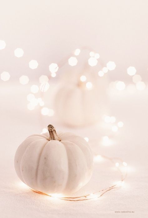 Bts Wallpaper Iphone, Wallpapers Fall, White Pumpkins, Iphone Wallpapers, Bts Wallpaper, Wallpaper Iphone, Pumpkins, Wallpapers, Bts