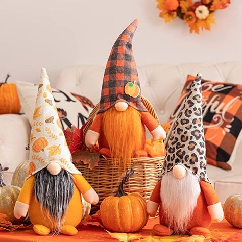 Fall Dec, Fall Elements, Fall Decorations For Home, Fall Gnomes, Elf Decorations, Cute Gnomes, Thanksgiving Projects, Colors Of Autumn, Harvest Thanksgiving