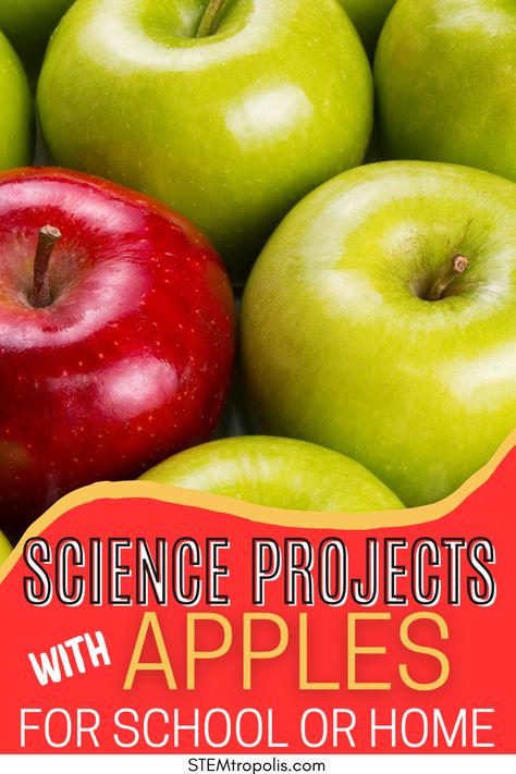 🍏 Ready for some hands-on science fun? Discover a variety of exciting apple-themed science projects perfect for curious kids! From exploring buoyancy with floating apples to creating apple volcanoes, these activities are perfect for home or classroom learning. Engage young scientists with experiments that are both educational and delicious. Click through to find step-by-step guides and watch your kids' curiosity grow! Click for STEM challenges, STEAM projects & science experiments! Apple Science Experiments, Easy Experiments, Summer Science Activities, Fun Experiments For Kids, Projects Science, Fun Experiments, Summer Science, Steam Projects, Experiments For Kids