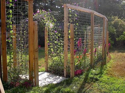 Garden Trellis Panels, Cattle Panels, Trellis Fence, Deer Fence, Diy Garden Fence, Flea Market Gardening, Vertical Vegetable Garden, Trellis Panels, Backyard Garden Landscape