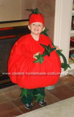 Tomato (aka amato) Two year-old Kadyn's favorite food was tomatoes. When we asked him what he wanted to be for Halloween, he decided was going to be a tomato, or as he pronounced Tomato Halloween Costume, Diy Tomato Costume, Tomato Costume, Halloween Parade, Diy Costumes Kids, Homemade Costumes, Costume Patterns, Baby Costumes, Polar Fleece