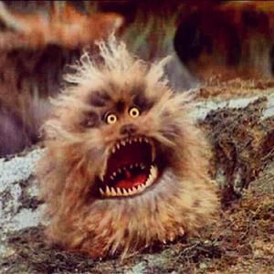 Fizgig-The Dark Crystal Dark Crystal Movie, Fraggle Rock, Dark Crystal, The Dark Crystal, Jim Henson, Magical Creatures, Labyrinth, Sesame Street, The Two