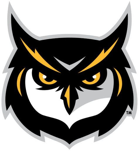 Kennesaw State Owls Alternate Logo (2012) - Owl Mascot, Printable Stencil, Kennesaw State University, Kennesaw State, Logo Animal, Owl Logo, Affinity Photo, Sports Logos, Desenho Tattoo